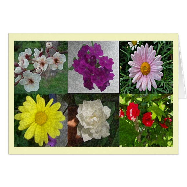 Collage of  Spring (Front Horizontal)