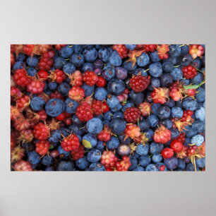 Collage of Wild Berries Blueberries Raspberries Poster