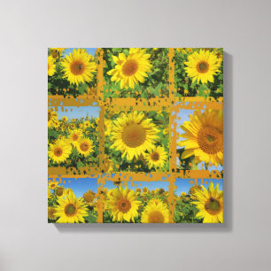 Collage of yellow sunflowers in summer, cheerful canvas print
