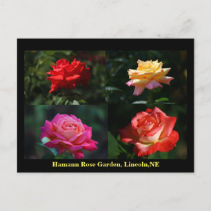 Collage postcard of the HRG 2014 900
