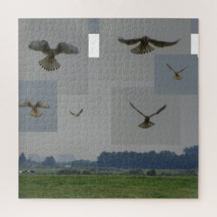 Collage Puzzle: Eemnes Polder BIRD OF PREY Jigsaw Puzzle