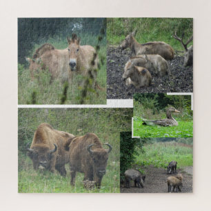 Collage Puzzle: Nature Park Lelystad ANIMALS Jigsaw Puzzle