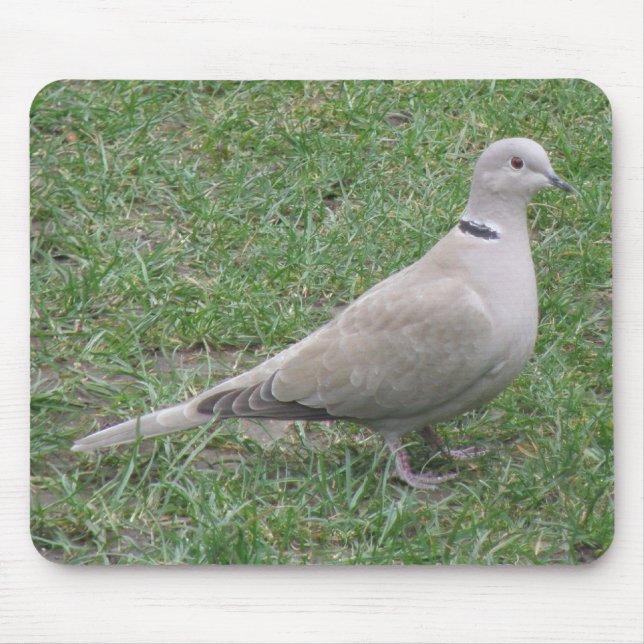 Collared Dove Mousepad (Front)