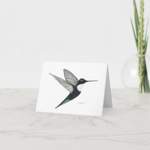 Collared Inca Hummingbird Card