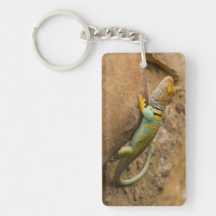 Collared Lizard Key Ring