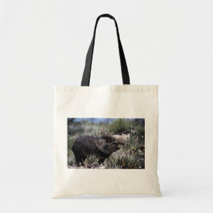Collared peccary (javelina) yawning amid flowering tote bag