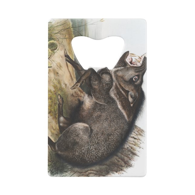 Collared Peccary Pig Camping Deco Gifts (Back)