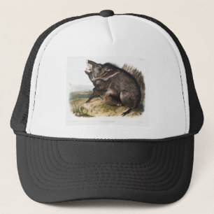 Collared Peccary Pig Camping Deco Gifts Trucker Hat