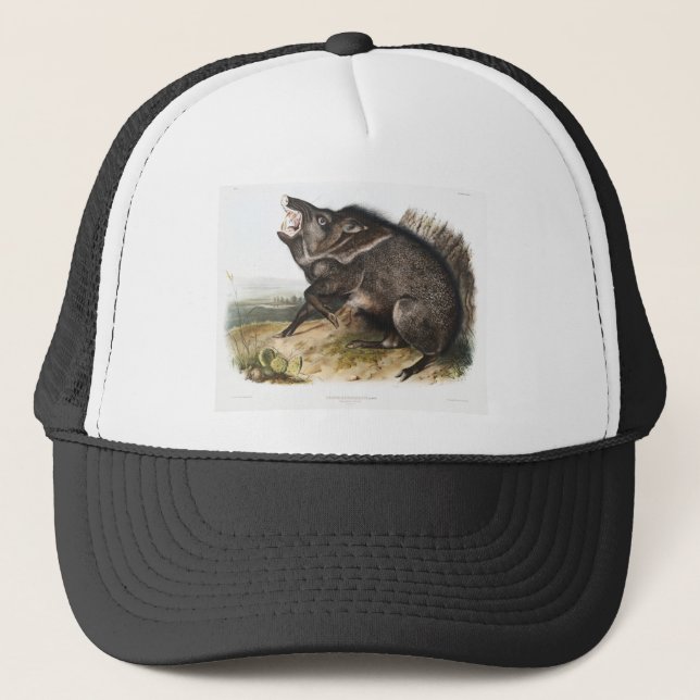 Collared Peccary Pig Camping Deco Gifts Trucker Hat (Front)