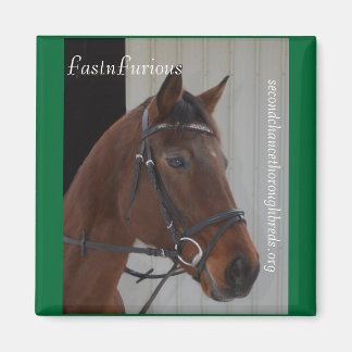 Collectable Magnet Series - FastnFurious