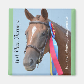 Collectable Magnet Series - Just Plan Partners