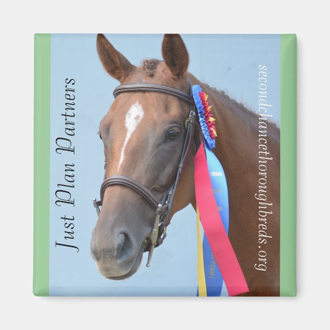 Collectable Magnet Series - Just Plan Partners (Front)