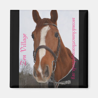 Collectable Magnet Series - Zen Village