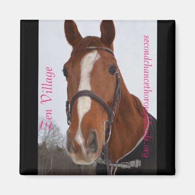 Collectable Magnet Series - Zen Village (Front)