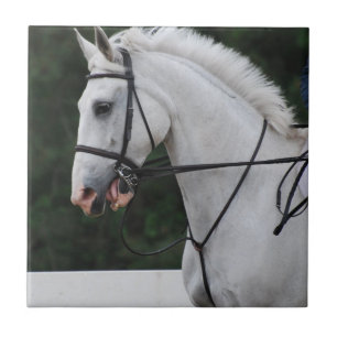 Collected White Horse Tile