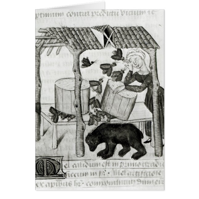 Collecting Honey (Front)