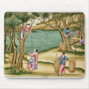 Collecting mulberries mouse mat