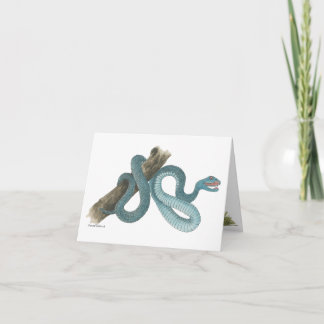 Collection Austrailian  snake Note Card