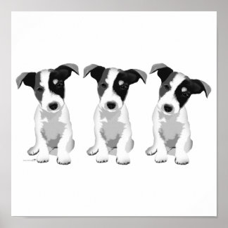 Collection Design Roseplatine® Poster