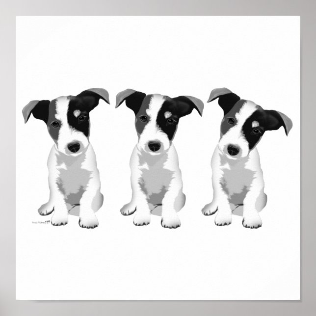 Collection Design Roseplatine® Poster (Front)