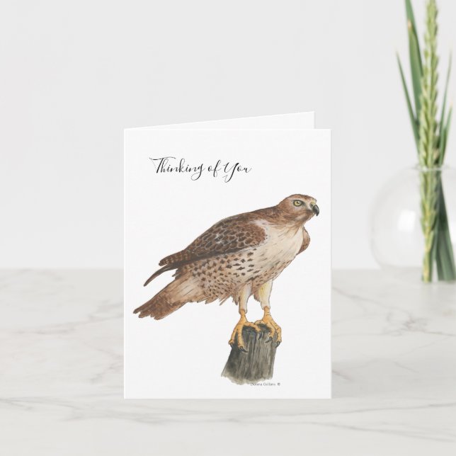 Collection Hawk Note Card (Front)