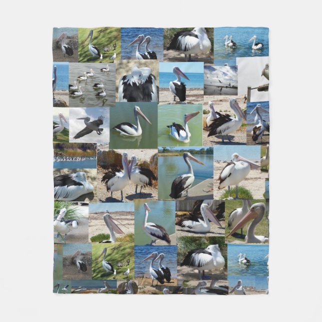 Collection Of Pelicans In A Photo Collage, Fleece Blanket (Front)