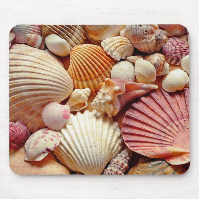 Collection of Seashells Scallops Clams and Conch Mouse Mat (Front)