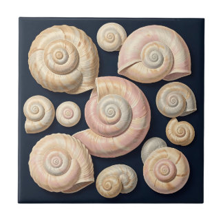 Collection of Spiral Seashells Beige Pink Nautical Tile