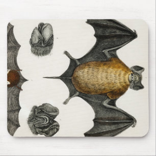 Collection of various Bats Mouse Mat