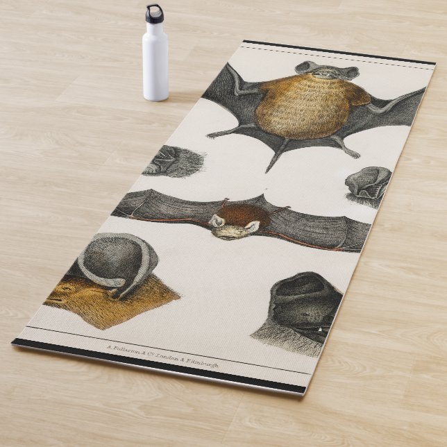 Collection of various Bats Yoga Mat (In Situ)