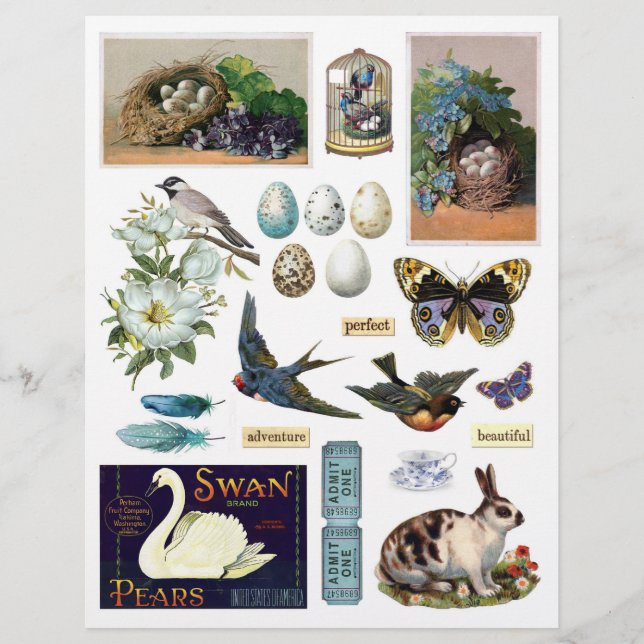 Collection of Vintage Ephemera: Birds and a Bunny (Front)