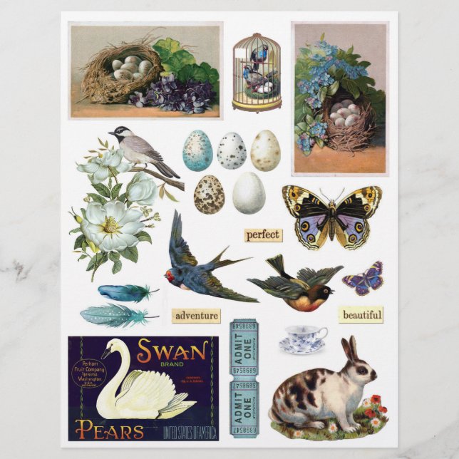 Collection of Vintage Ephemera: Birds and a Bunny (Front)