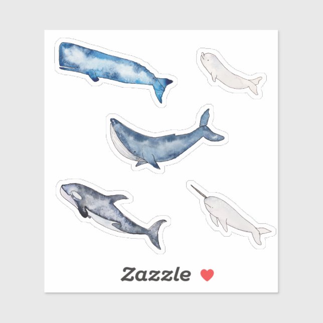 Collection of Watercolor Whales (Sheet)