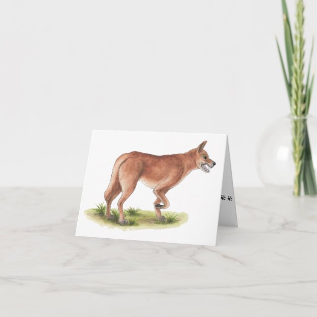 Collection Red Fox Blank Note Card (Front)
