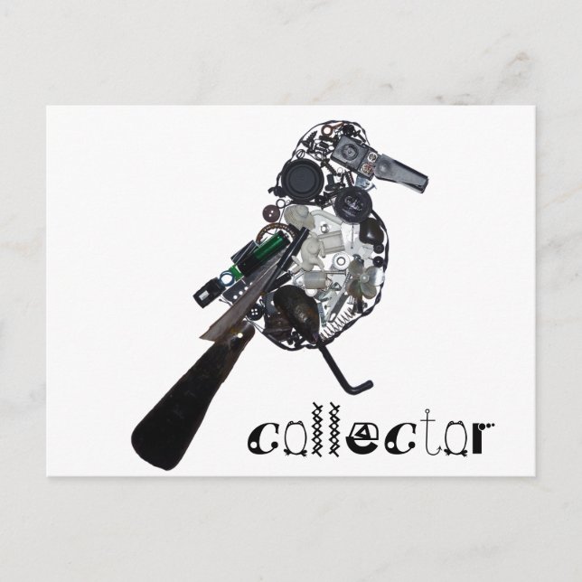 "Collector" Magpie Found-Object Sculpture Postcard (Front)