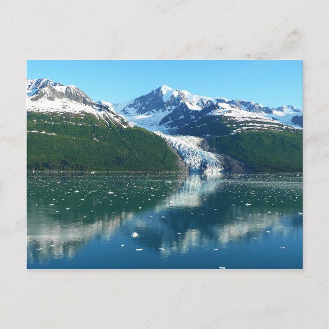 College Fjord I Beautiful Alaska Photography Postcard (Front)
