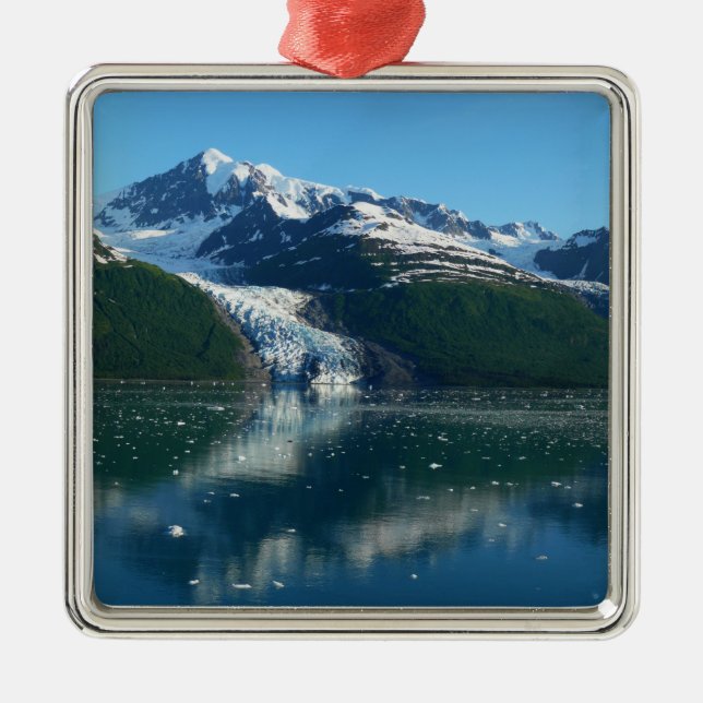 College Fjord II Beautiful Alaska Photography Metal Tree Decoration (Front)