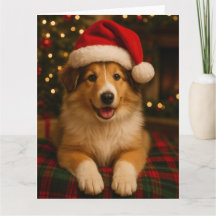 Collie Christmas Card
