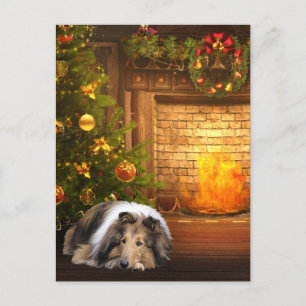 Collie Christmas Holiday Postcard