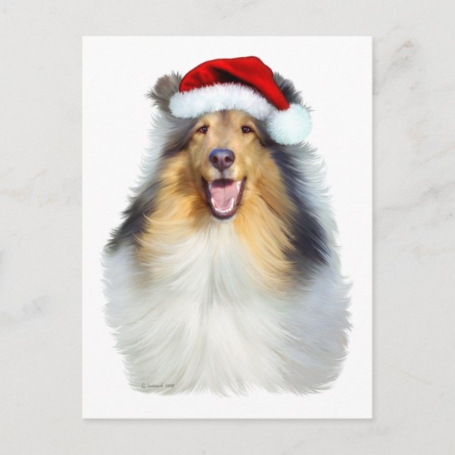 Collie Christmas Santa Holiday Postcard (Front)