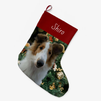 Collie Christmas Stocking