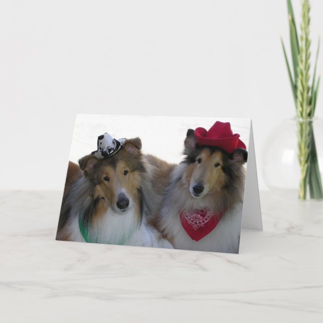Collie Cowpokes All Occasion Card (Front)