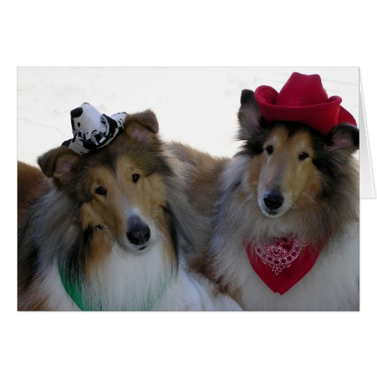 Collie Cowpokes All Occasion Card