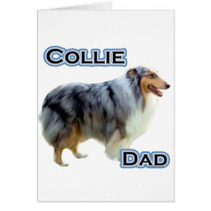 Collie Dad 4