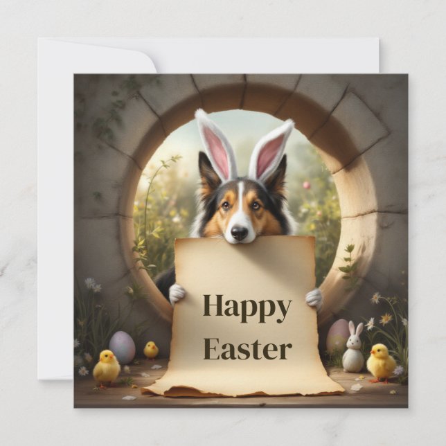 Collie dog  and the message holiday card (Front)