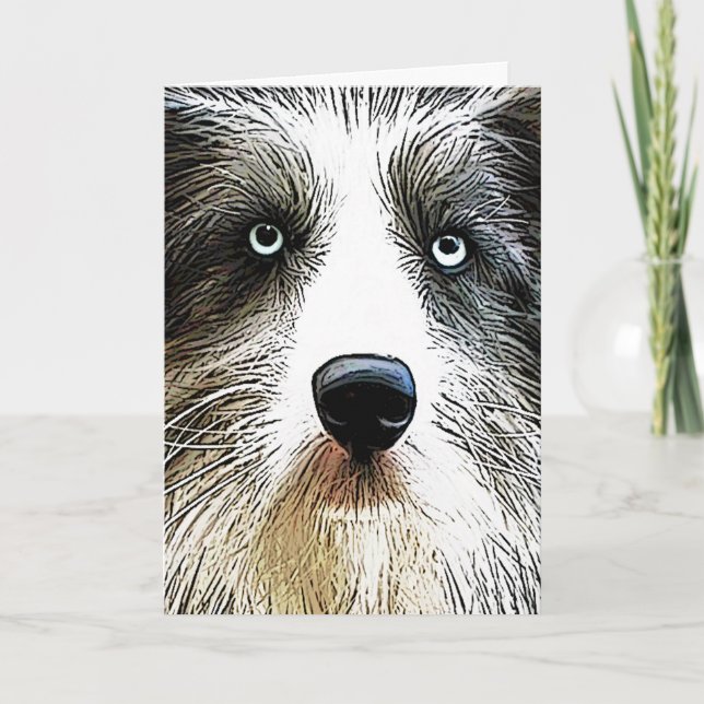 Collie Dog Birthday Card (Front)