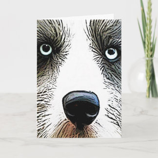 Collie Dog Birthday Card (Close Up)