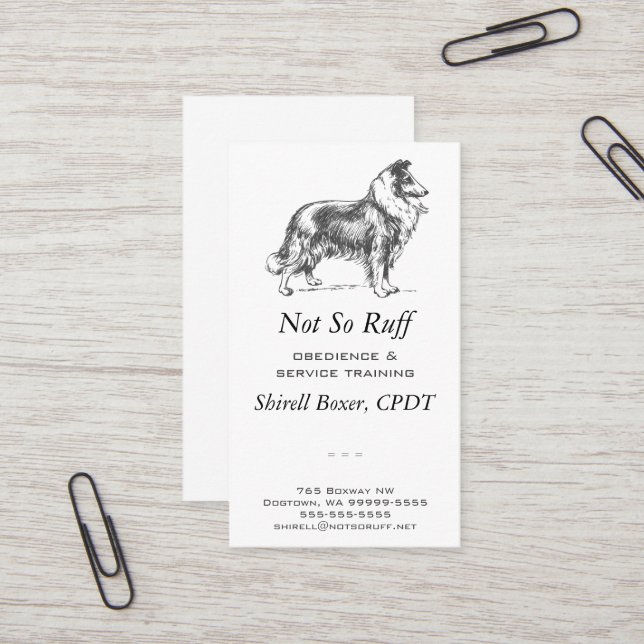 Collie Dog Business Business Card (Front/Back In Situ)