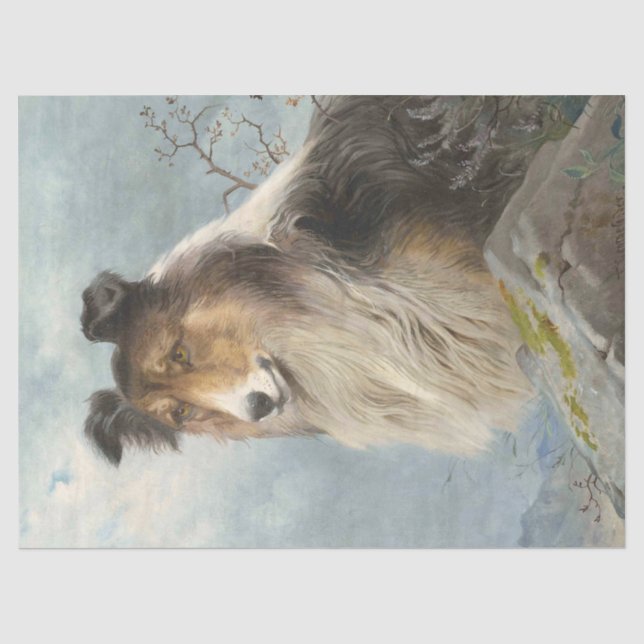 Collie Dog Decoupage Decoupaging Tissue Paper (Front)