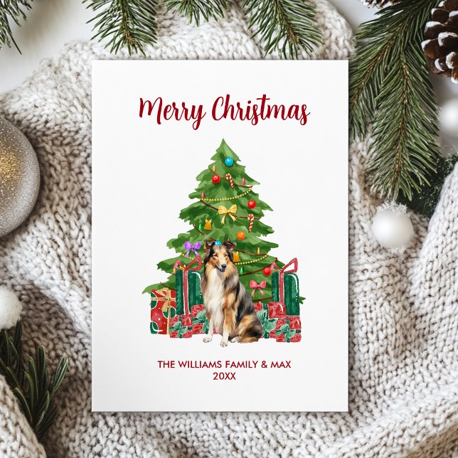 Collie Dog Family Christmas Holiday Card (Creator Uploaded)